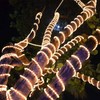 GUOTONG 50ft/15m Plug in LED Rope Lights, 540 Warm White