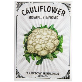 Cauliflower Seeds for Planting | Snowball Y Improved Variety (2g Packet - Approx 630 Seeds) | Non-GMO & Heirloom Seeds | Illustrated Seed Packet with Growing Instructions by Rainbow Heirloom Seed Co.