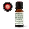 Plant Therapy Chakra 1 Grounded Foundation (Root Chakra) Essential Oil