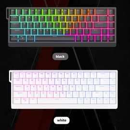 ZUOYA HE65 Rapid Trigger Gaming Keyboard,Magnetic Switch Hall Effect Hyper-Fast Adjustable Actuation 8K Hz Polling Rate Gasket-Mounted 65% Compact RGB HotSwap Wired Mechanical Keyboard (White)