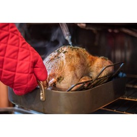 BPA Free,Pro Grade Turkey Baster. Best Plastic Suction Basting Syringe, Kitchen Tools and Supplies (Red)