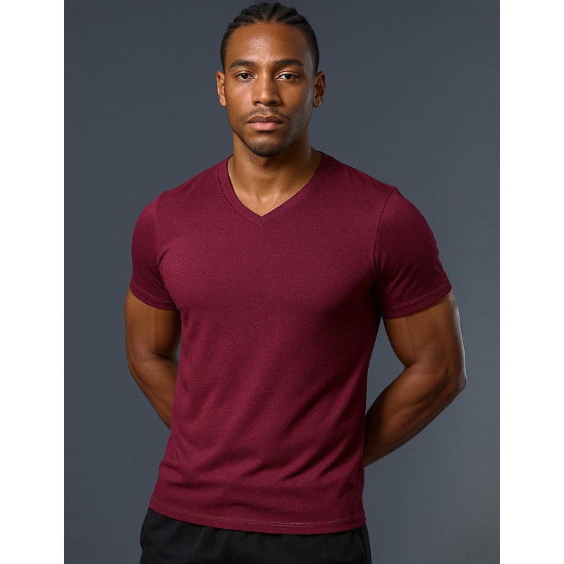 5 Pack Mens V-Neck Dry Fit T-Shirts, Active Athletic Short