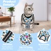 Due Felice Cat Surgery Recovery Suit Small Dog Surgical Recovery