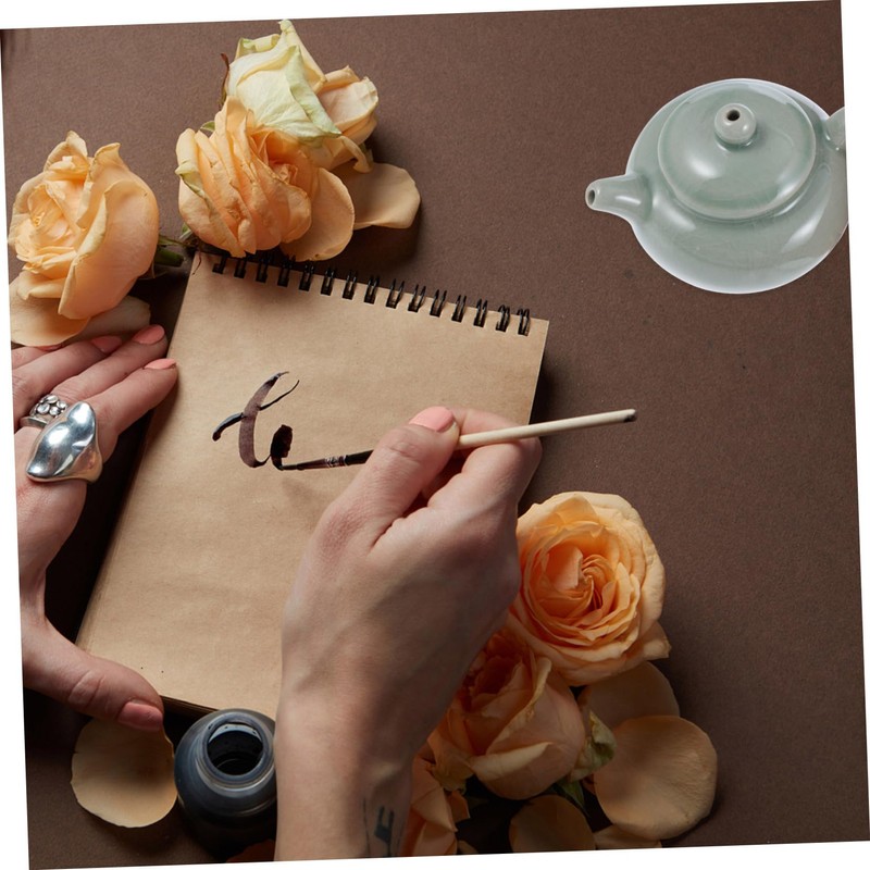 DOITOOL 1Pc Ceramic Calligraphy Water Dropper Tea Pot Shape Ink