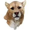 Ebros Gift Sarabi Large African Lioness Head Hanging Wall Decor