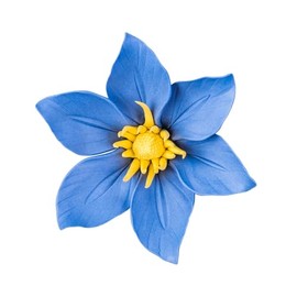 CEUYGT 3D Flower Wall Decor Handmade Ceramic Wall Art Hanging Sculpture Clematis 3.54" (Medium)