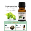 Natural 100% Peppermint Oil, 0.3 fl oz (10 ml), Essential