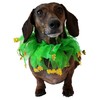 Midlee St. Patrick's Day Shamrock Decorative Dog Collar (Small)