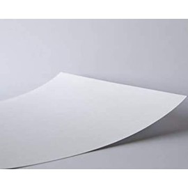 Lost Posters Rare Poster Thick Bucky Barnes/White Wolf The Avengers: Infinity war 2018 Sebastian Stan Reprint #'d/100!! 12x18