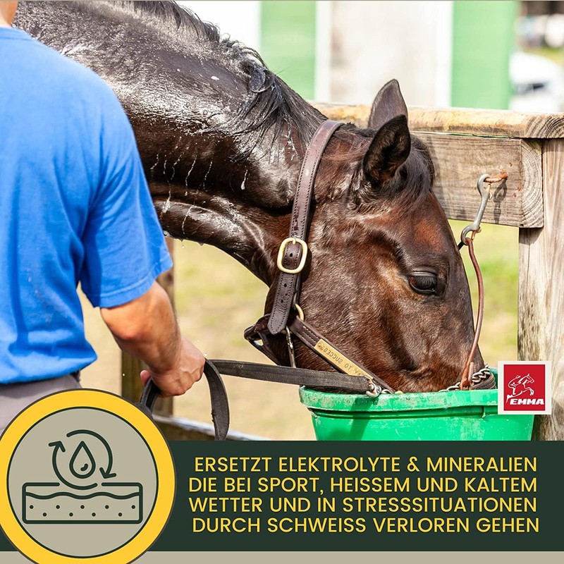 Elektrolyte Pferd - Vitamin Paste für Pferde I Vitamin b