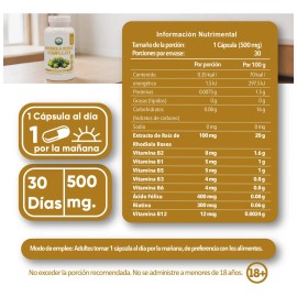 Rhodiola Rosea Complejo Cápsulas 500 Veganas Pasiguaro Energía