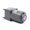 AC 110V 15W Electric Single-Phase Motor Gear Motor Speed Controller