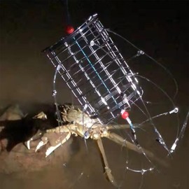 Sand Crab Catcher,Reservoir Catching Tool for Crayfish - Crab Catching Tool Cage for Shrimping Lobster Crayfish, Ideal for Rivers, Reservoirs, Seashores