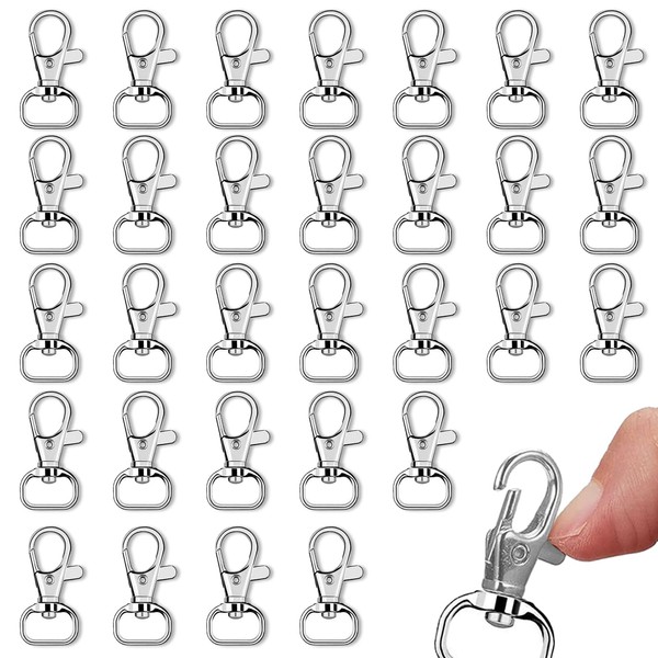 Pack of 30 Key Chains, Carabiner Clasp, Key Chains, Carabiner