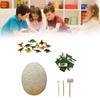 Dinosaur Egg Excavation Kit Jumbo Egg Unearth 14 Different Dinosaurs