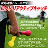ZERONOWA Reaction Speed and Reflexes Training Rod Reactive Catch Training