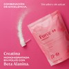 B-FIT Creabet, Creatina Monohidratada y Beta Alanina, 300g