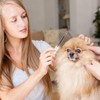 MultiValue 2-in-1 Flea Comb for Dogs Cats, Stainless Steel Cat