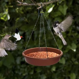Hanging Bird Feeder, Large Capacity 2 in 1 Hanging Bird Bath Tray Bird Feeder Tray with 30.5cm Diameter, Hanging Platform Bird Feeder Dish Bird Feeders for Outdoors Hanging