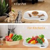 HMRCYTE Small Animal Digital Scale, Mini Pet Scale with LCD