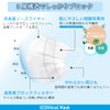 [ECOthical Mask] マスク 不織布マスク ふつうサイズ 30枚入り プリーツマスク 使い捨てマスク 不織布 肌にやさしい