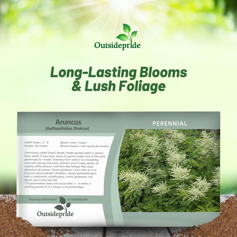 Outsidepride Dioicus Aruncus Flower Seeds - 50 Pcs Perennial Hardy,