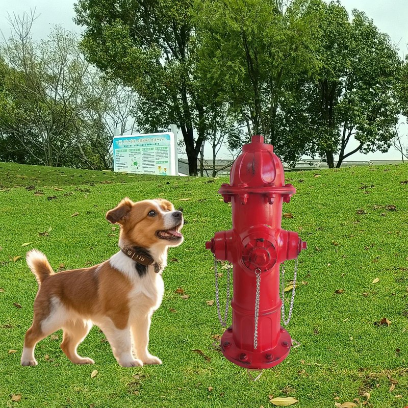 SHGYIBRISK Fire Hydrant for Dogs to Pee On: Dog Fire