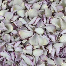 Petals and Roses Freeze Dried Rose Petal Confetti | Natural & Biodegradable for Weddings, Mother of Pearl, 2 Litres