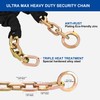 REETOMETAL Heavy Duty Security Chain with Hidden Shackle Lock, 6