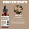 Turkey Tail Mushroom for Dogs | Helps to Boost the