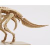 GSI Creos PSMS02 GSI Creos Planosaurus Marker Set Triceratops/Stegosaurus Set
