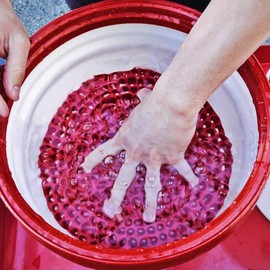 Chemical Guys DIRTTRAP02 Cyclone Dirt Trap Car Wash Bucket Insert Car Wash Filter Removes Dirt and Debris While You Wash (Red) 12" Diameter Great for Washing Cars, Trucks, SUVs, RVs & More