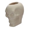 Ceramic Skull Garden Wall Planter