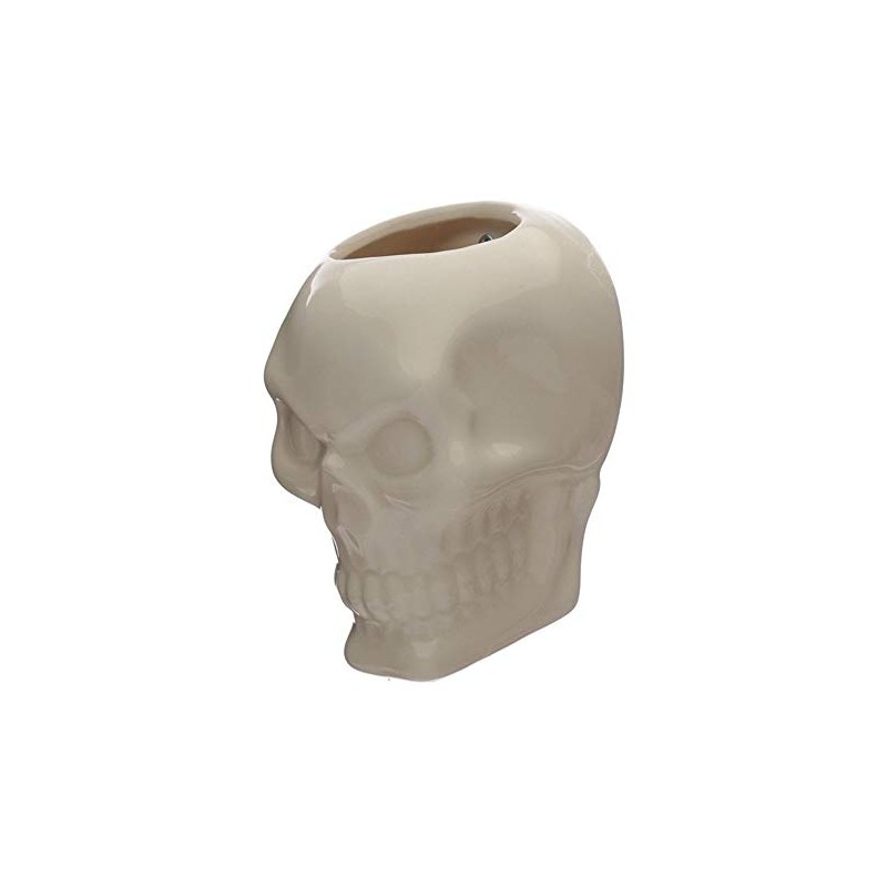 Ceramic Skull Garden Wall Planter