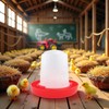1Pc Baby Chick Feeder and Waterer 0.35Lbs/5.4Oz Chicken Poultry Feeding