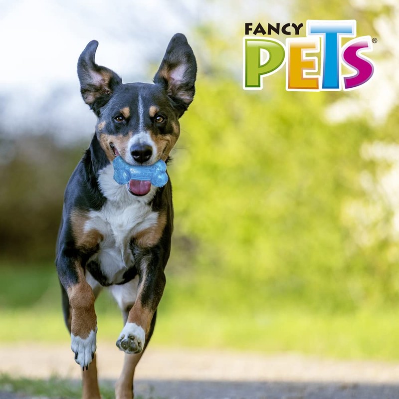 Fancy Pets Prisma Juguete en Forma de Hueso para Perro