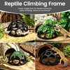 Snake Jungle Gym for Small to Medium Snakes, Medium Reptile