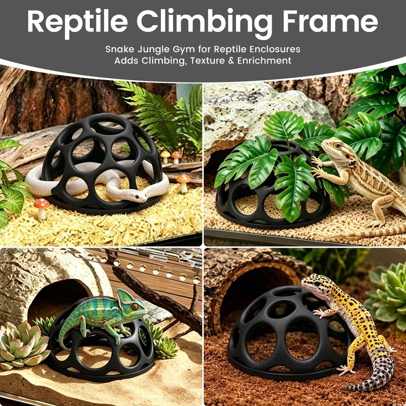 Snake Jungle Gym for Small to Medium Snakes, Medium Reptile
