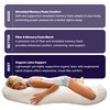 Back Support Systems Body Pillow – Contoured & Straight –