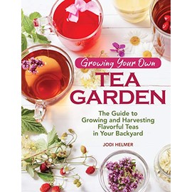 Growing Your Own Tea Garden