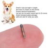 10pcs 1.25mm Pet Microchip Animal Label Glass Tube Chip Mini
