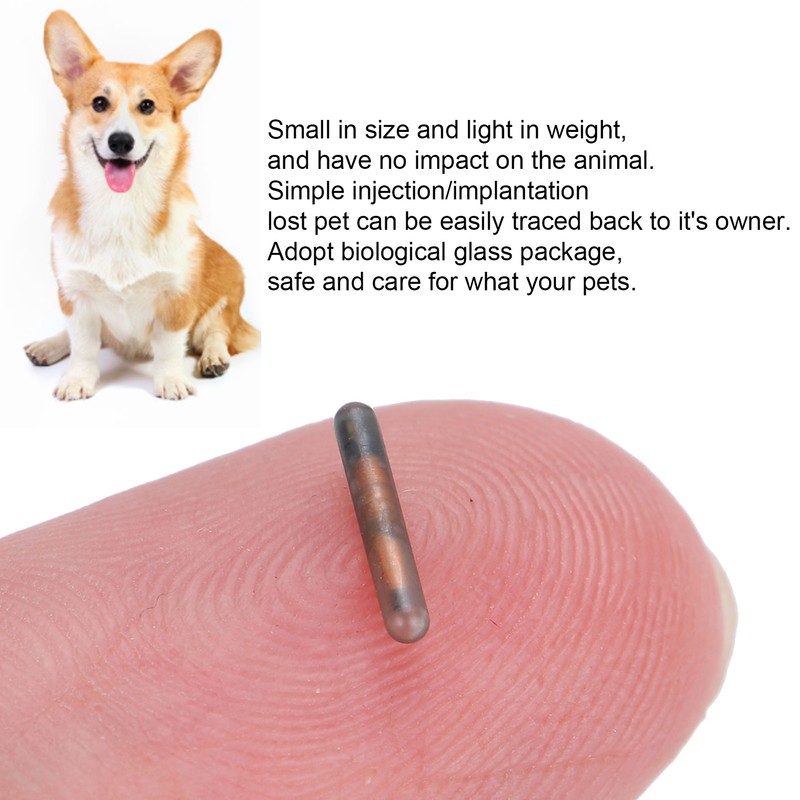 10pcs 1.25mm Pet Microchip Animal Label Glass Tube Chip Mini