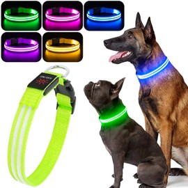 BSEEN Light Up Dog Collar - LED Dog Collar Rechargeable, Double Line Fiber Optic Dog Collar Light Glow in The Dark Dog Collar for Night Walking(Green, Small)