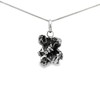 Starborn Campo de Cielo Meteorite Pendant Necklace (20")