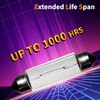 Lanuovx 10 Pack 6411 Festoon Bulb 12V 10W Xenon Bulb