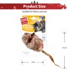 PETGEEK GiGwi Interactive Cat Feather Toy, Melody Chaser Chirpy Mouse