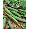 RAISE ME UP: Seeds Sweet Snap Peas Alfa Non GMO