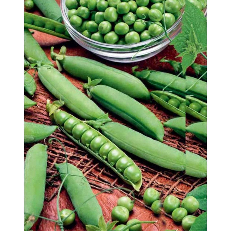RAISE ME UP: Seeds Sweet Snap Peas Alfa Non GMO