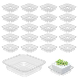 20 Pack Plant Saucers for Indoors 4 Inches Plant Trays for Pots Plastic Trays for Plants Square Plant Drip Trays for Potted Plants Flower Pot Saucers Clear Plant Plates to Catch Water, Bulk