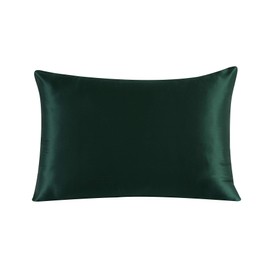 townssilk Both Side 100% 19mm Silk Pillowcase Queen Size Pillow Case Cover with Hidden Zipper Emerald